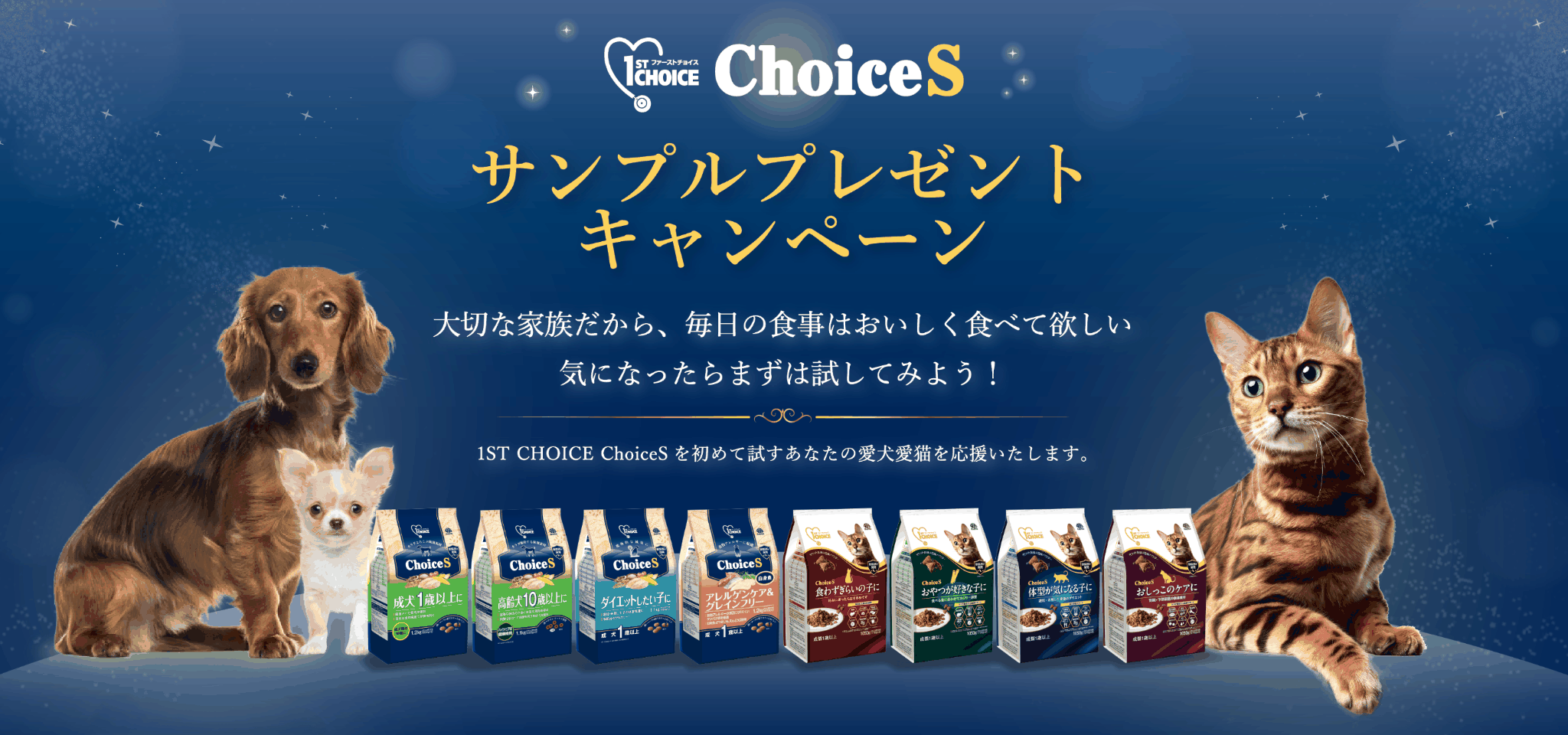 1ST CHOICE ChoiceSサンプルプレゼントキャンペーンヘッダー